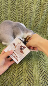 Cat Toys Rechargeable Flapping Bird Sparrow, Lifelike Chirp Tweet, Touch Activated Kitten Toy Interactive Cat Exercise Toys for All Breeds Cat Kicker Catnip Toys 4.0 Inches